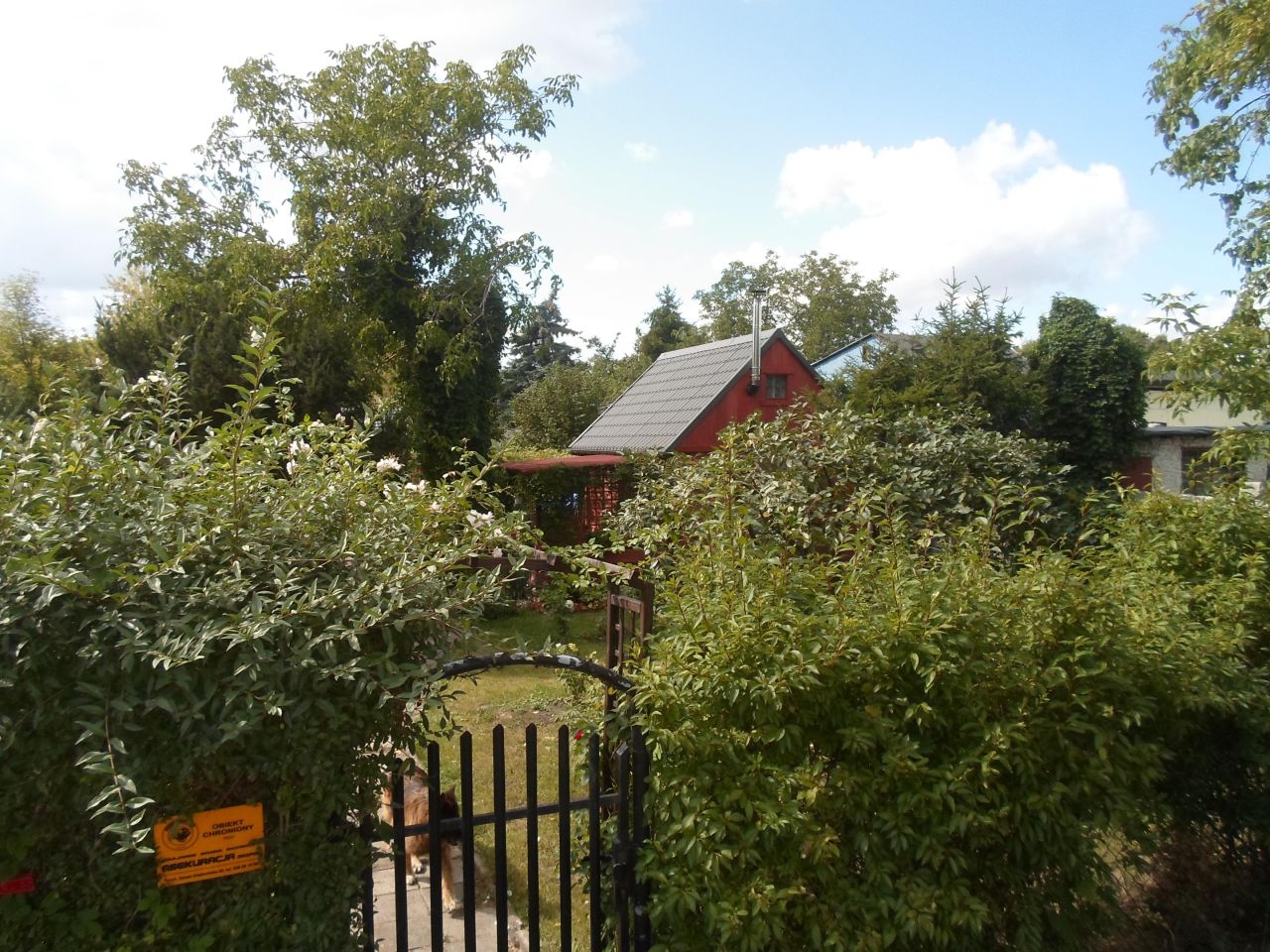 Działka rod Toruń Mokre, ul. Bolesława Chrobrego. Zdjęcie 23