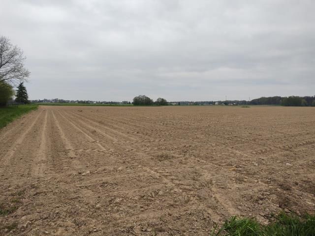 Działka siedliskowa Pruchna. Zdjęcie 2