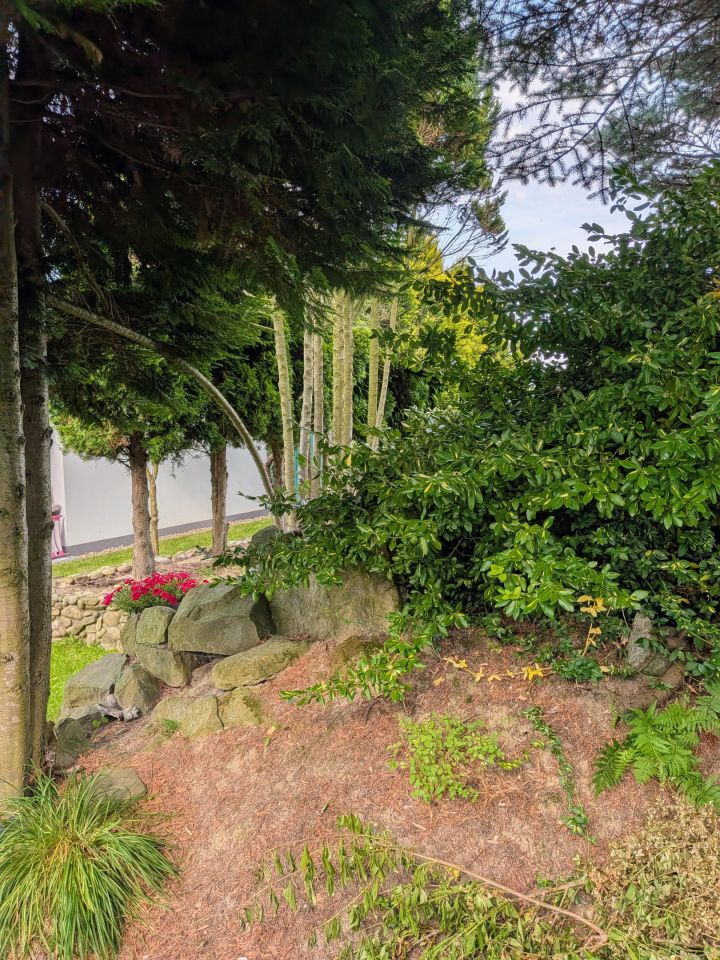 Działka rod Nowy Sącz Falkowa, ul. Botaniczna. Zdjęcie 20