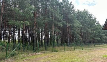 Działka leśna Markowicze