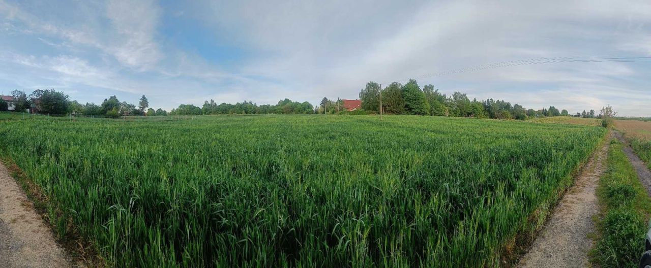 Działka budowlana Panieńszczyzna