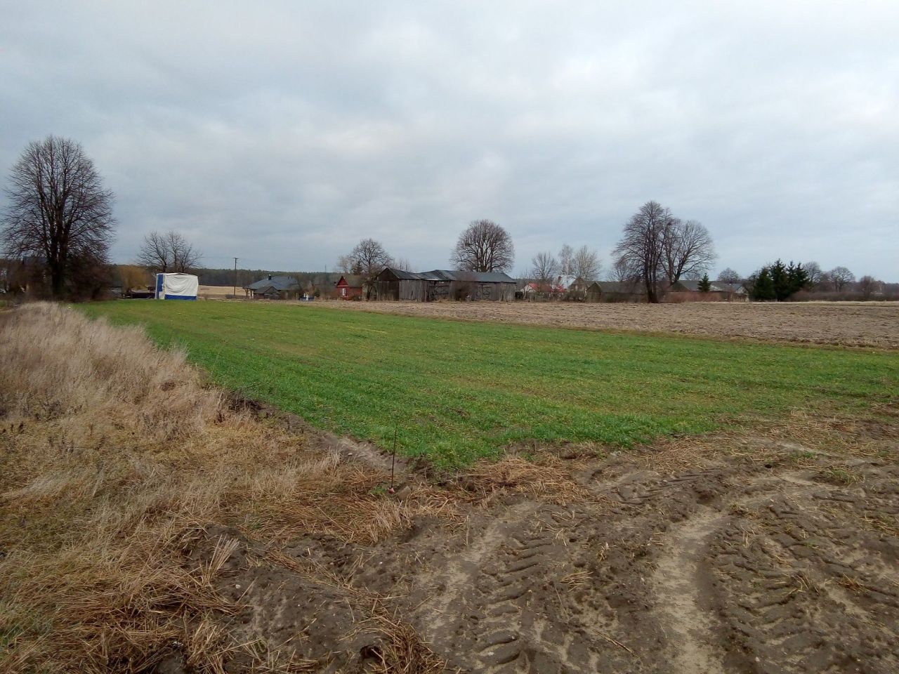 Działka budowlana Wola Przybysławska. Zdjęcie 5