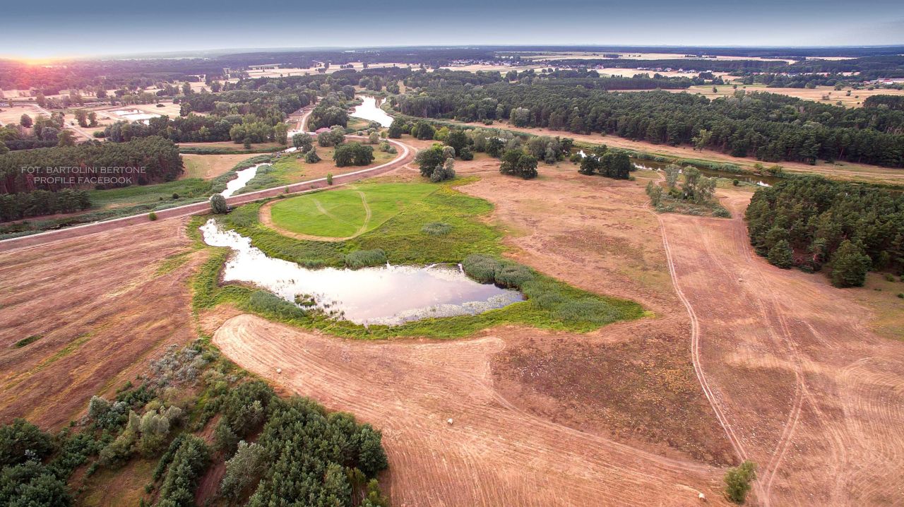 Działka rolna Mosina. Zdjęcie 7