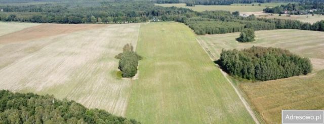 Działka rolna Wargowo. Zdjęcie 1