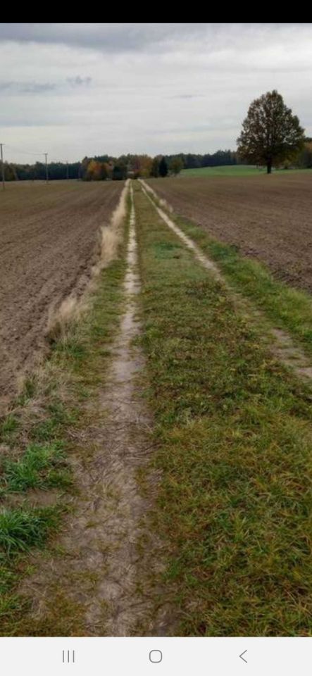 Działka rolna Poddębice. Zdjęcie 6