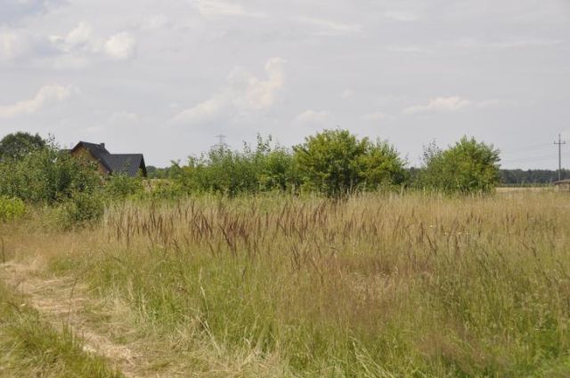 Działka budowlana Orzesze. Zdjęcie 5