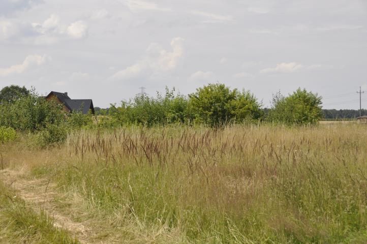 Działka budowlana Orzesze. Zdjęcie 5