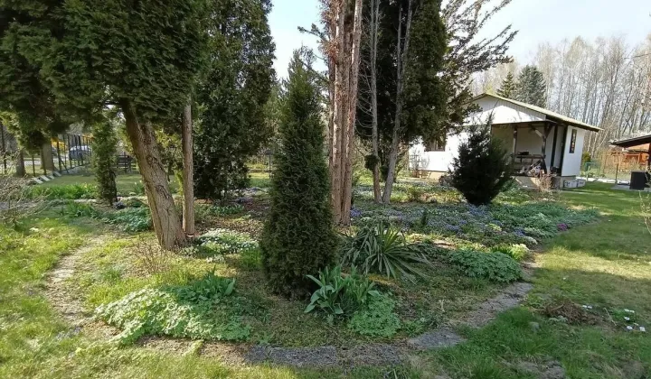 Działka rod Kraków Bielany, ul. Rybna