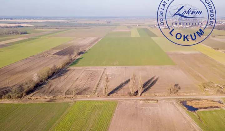 Działka siedliskowa Przybyszewo