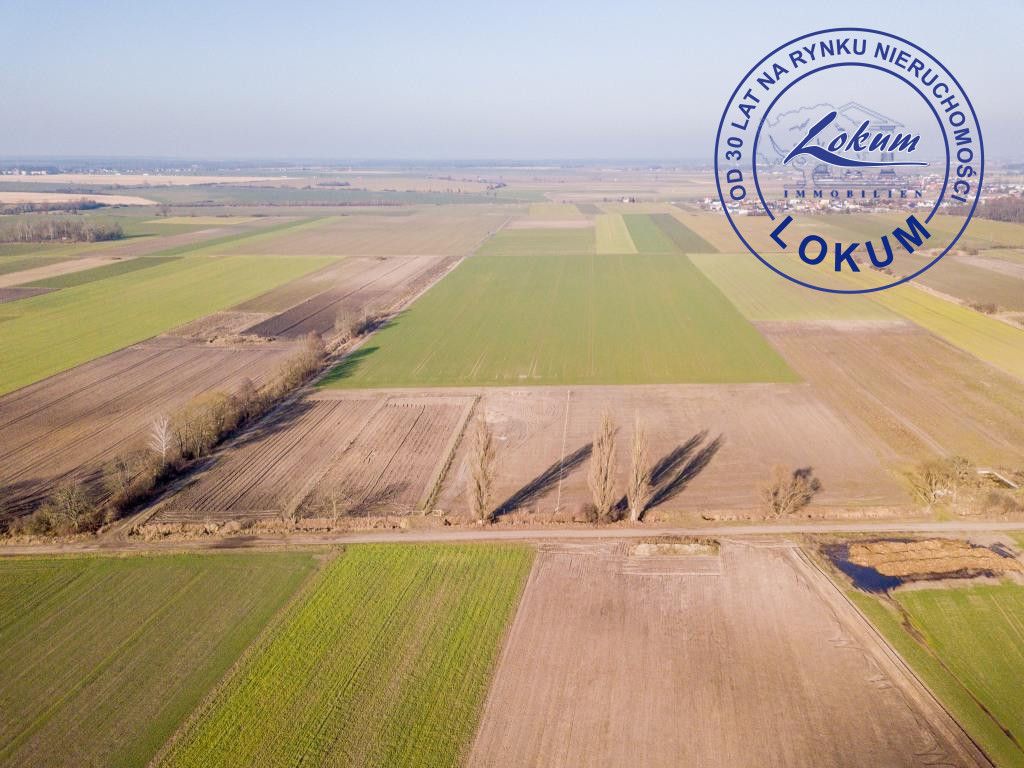 Działka siedliskowa Przybyszewo. Zdjęcie 1