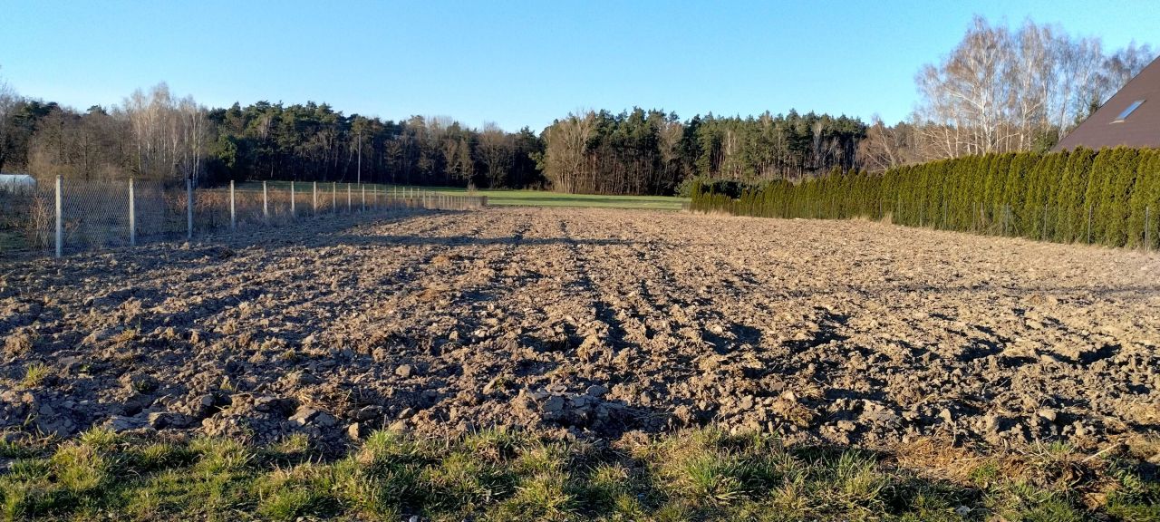 Działka budowlana Trzcianna. Zdjęcie 6