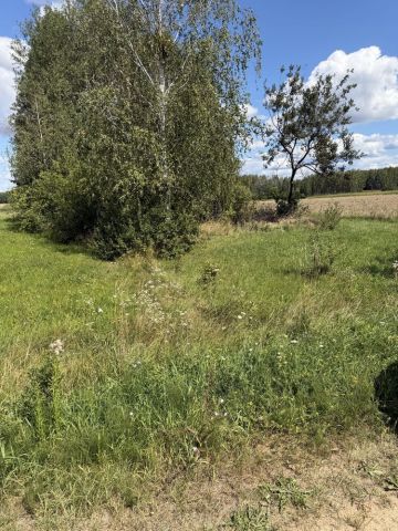 Działka rolna Reduty. Zdjęcie 1