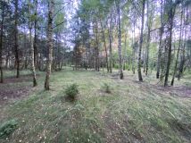 Działka rekreacyjna Kępiaste. Zdjęcie 1