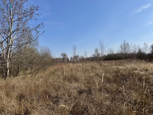 Działka inwestycyjna Nieborów, ul. Wschodnia. Zdjęcie 10