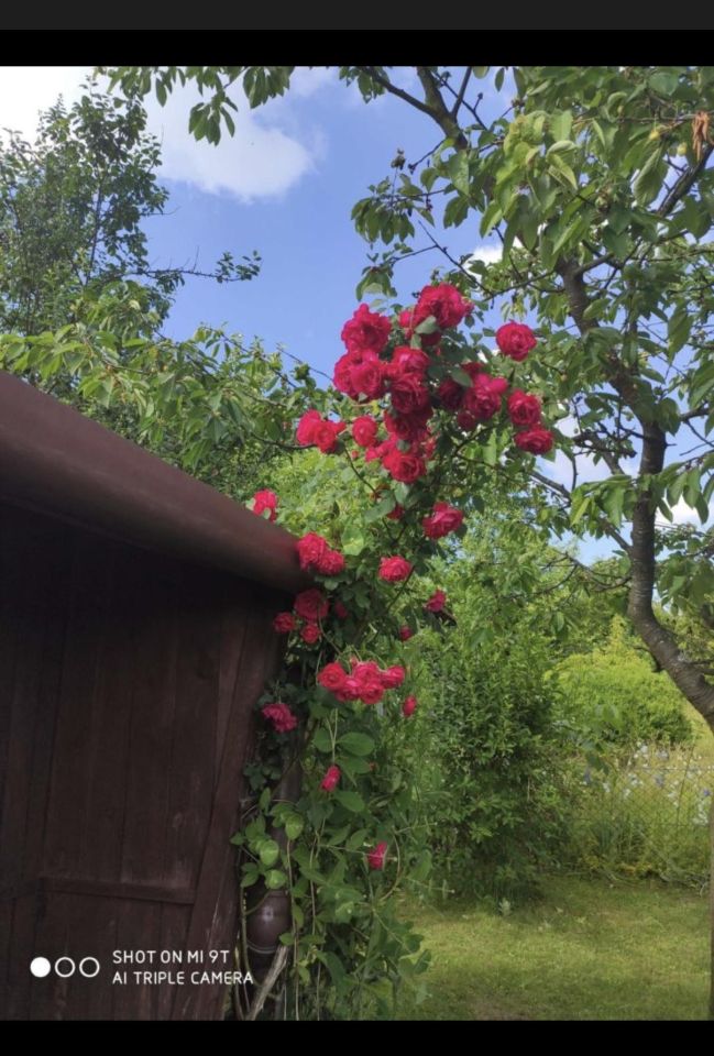 Działka rod Niekłonice. Zdjęcie 5