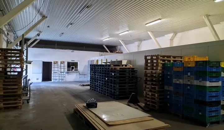 Lokal Włocławek Centrum