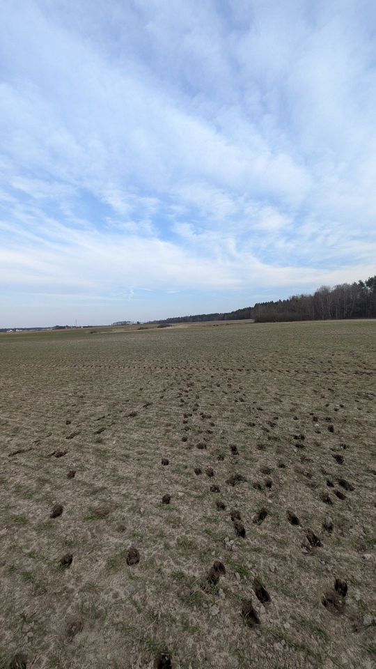 Działka budowlana Potrzanowo, ul. Skocka. Zdjęcie 2