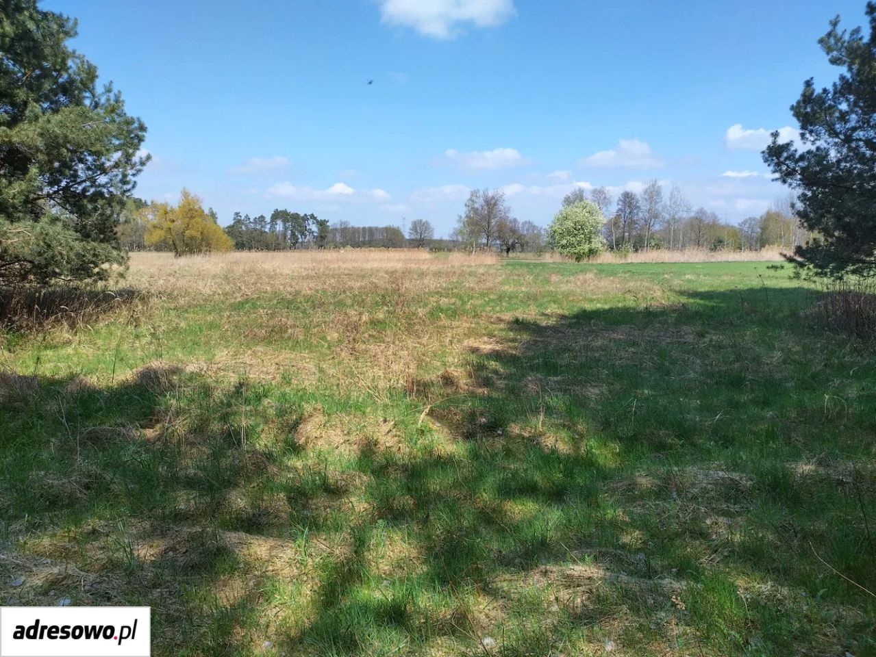 Działka rekreacyjna Karłowice. Zdjęcie 8
