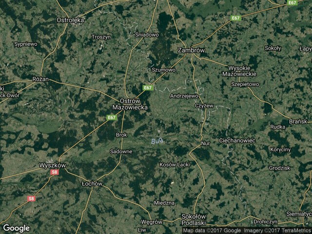 Działka leśna Ostrów Mazowiecka. Zdjęcie 1