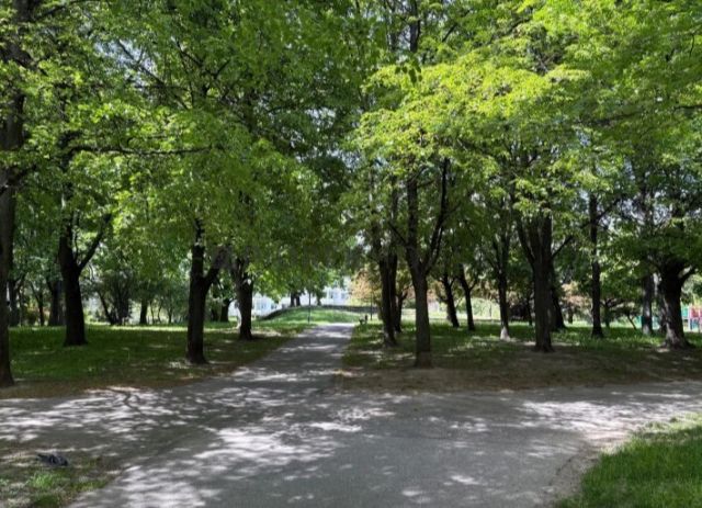 Mieszkanie 3-pokojowe Warszawa Mokotów, ul. Batuty. Zdjęcie 12