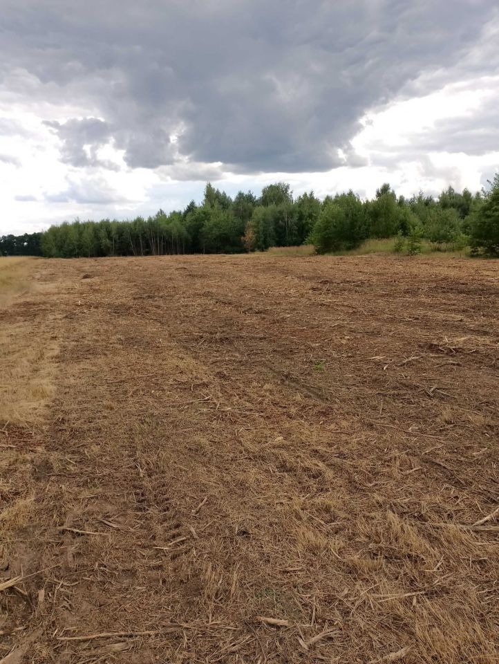 Działka budowlana Rojków