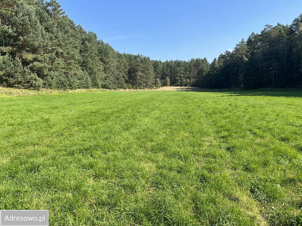 Działka rolna Orle, ul. Łąkowa. Zdjęcie 7