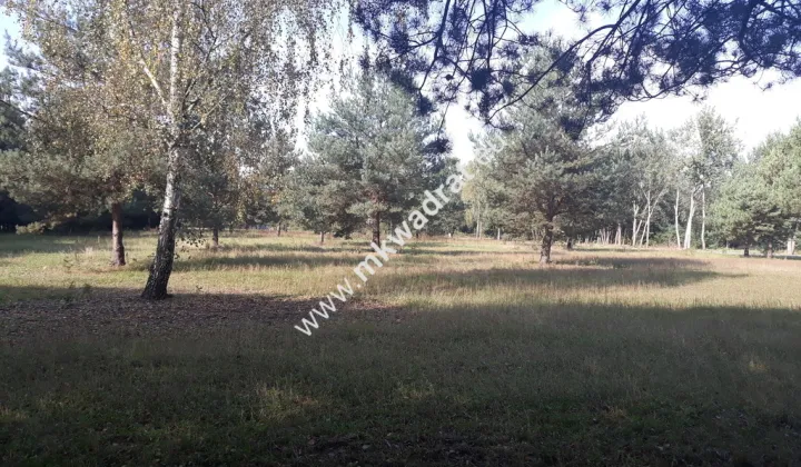 Działka budowlana Żółwin