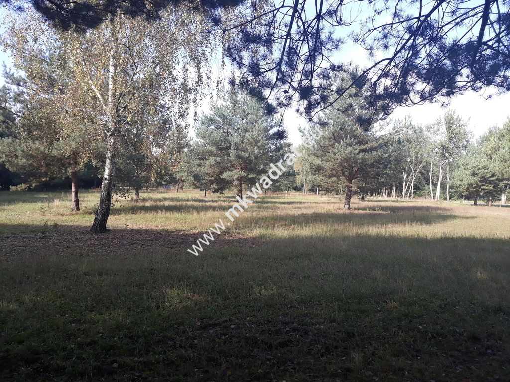 Działka budowlana Żółwin. Zdjęcie 1