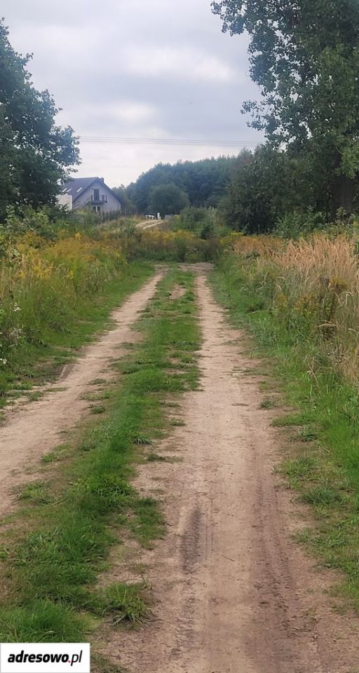 Działka rolno-budowlana Stara Dąbrowa. Zdjęcie 4