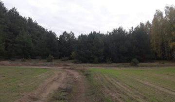 Działka rolna Kępa Kujawska