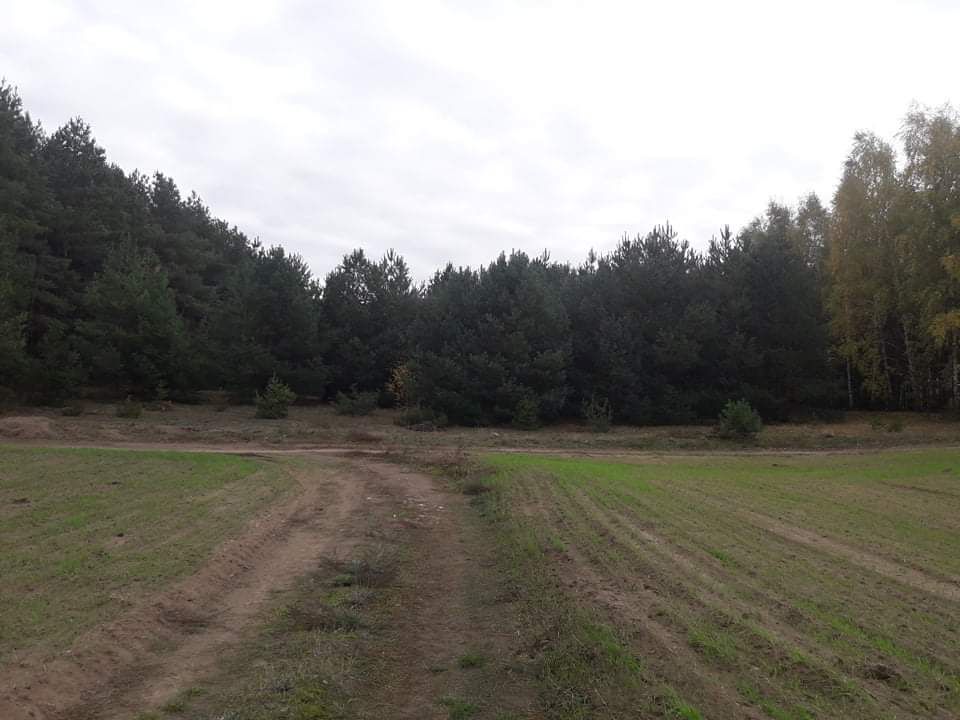 Działka rolna Kępa Kujawska