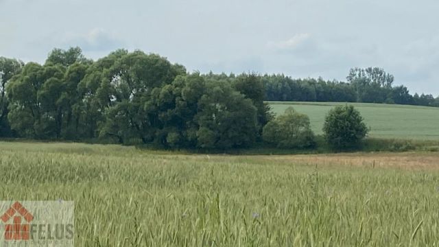 Działka rolna Czułówek. Zdjęcie 3