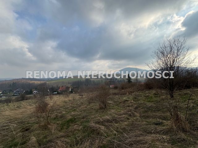 Działka Struga. Zdjęcie 6