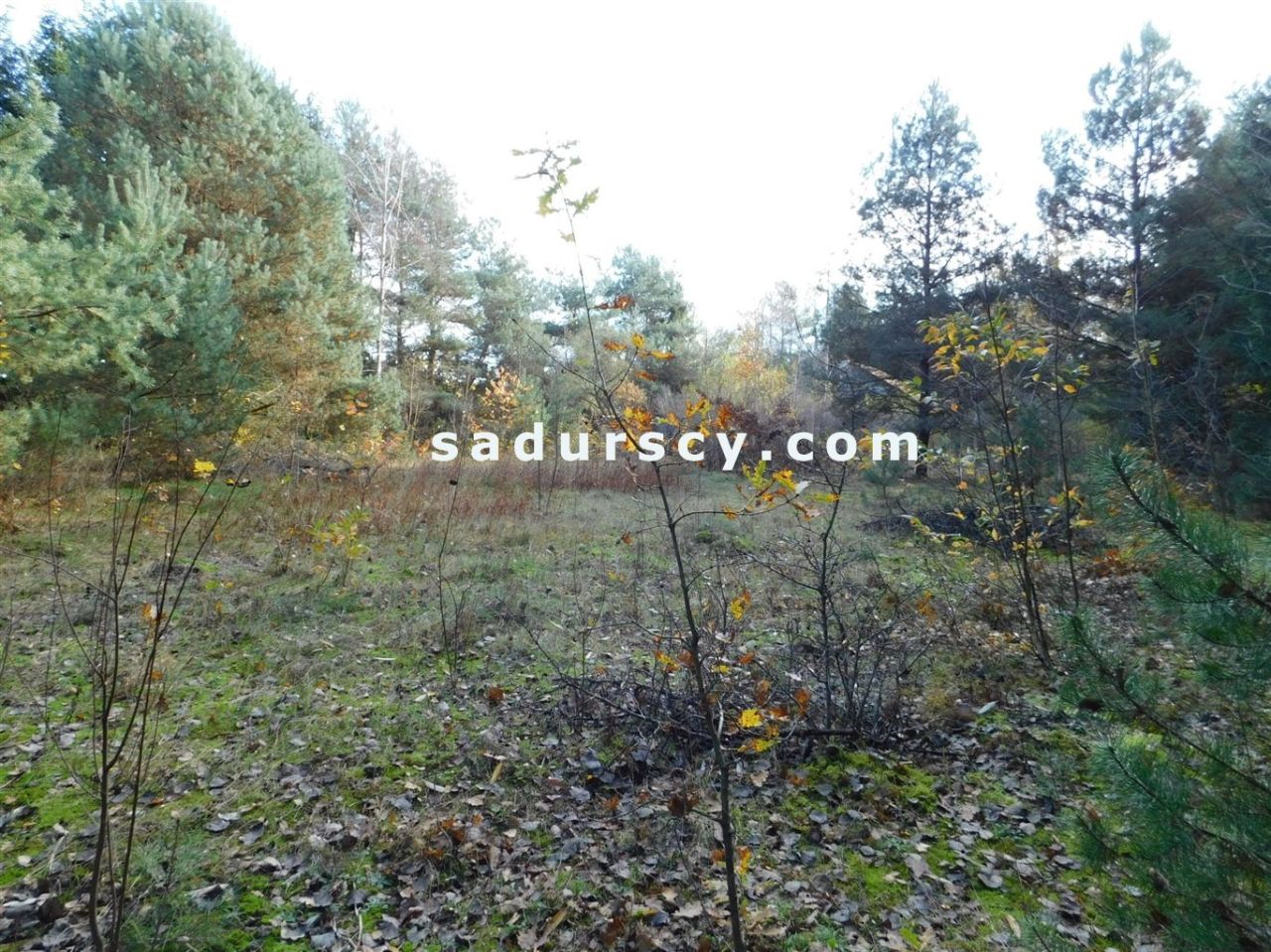 Działka budowlana Biały Ług. Zdjęcie 27