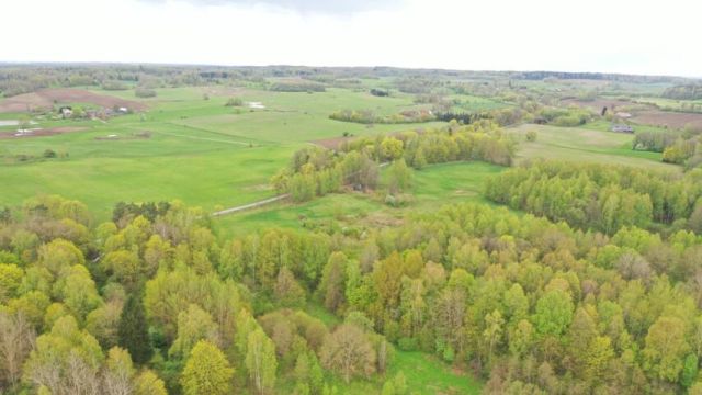 Działka rolna Langanki. Zdjęcie 10