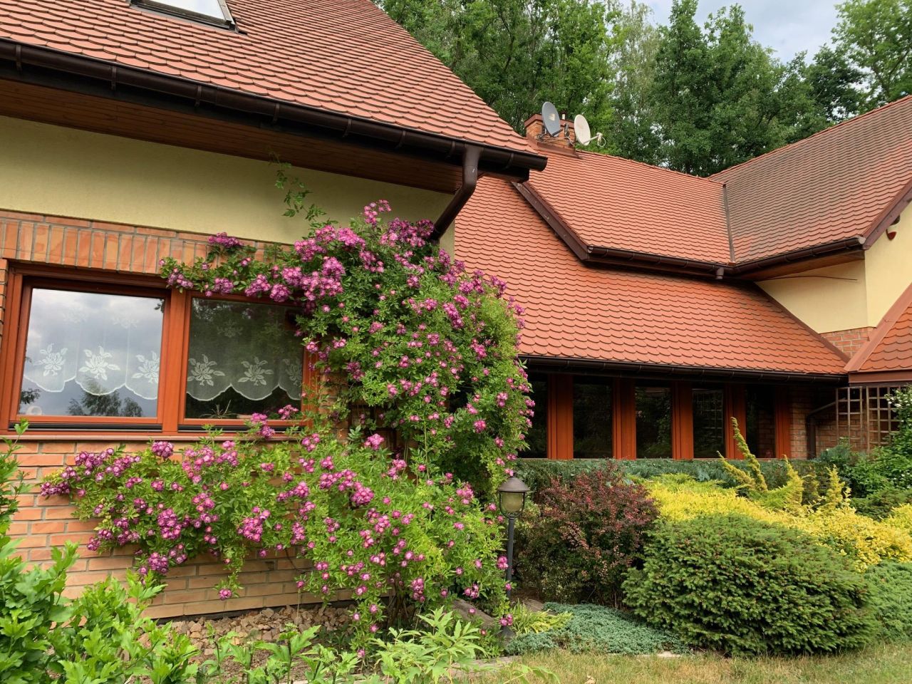 dom wolnostojący, 6 pokoi Opypy, ul. Piwoniowa. Zdjęcie 3