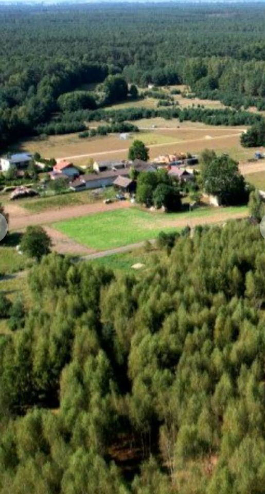 Działka budowlana Strzyżewo Paczkowe. Zdjęcie 8