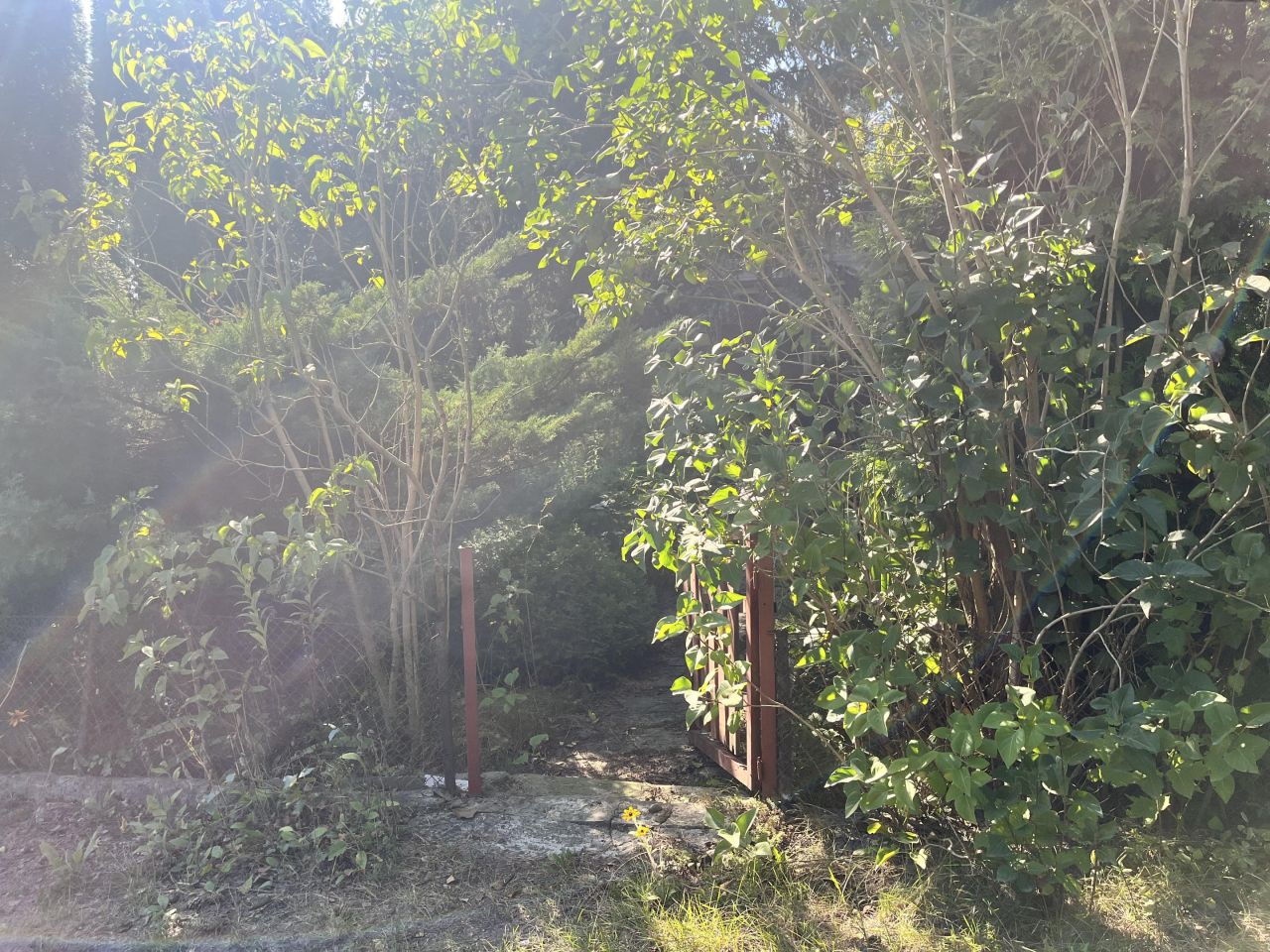 Działka rod Łódź Księży Młyn, ul. Milionowa. Zdjęcie 2