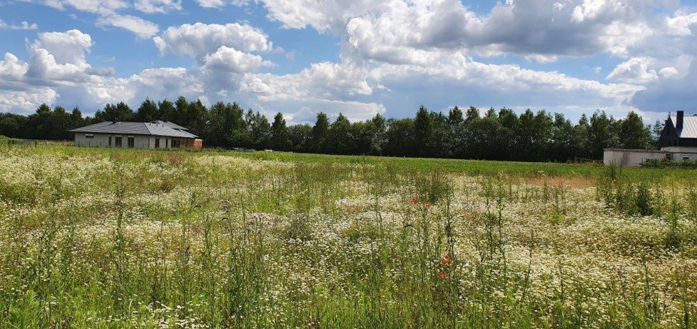 Działka budowlana Dawidy Bankowe, ul. Tęczowa