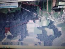 Działka leśna Kramkówka Duża. Zdjęcie 1