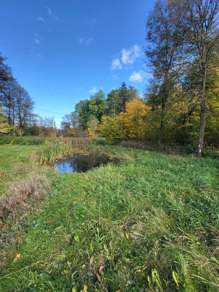 Działka budowlana Zagrodno. Zdjęcie 6