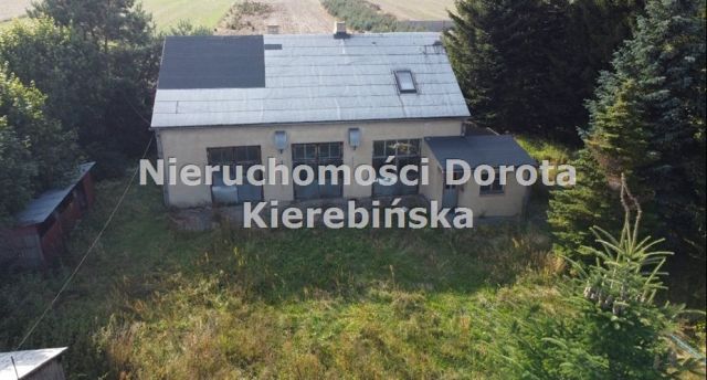 Działka Polichno. Zdjęcie 31