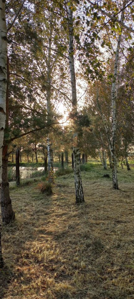 Działka budowlana Korzeńsko, ul. Chodlewska. Zdjęcie 11