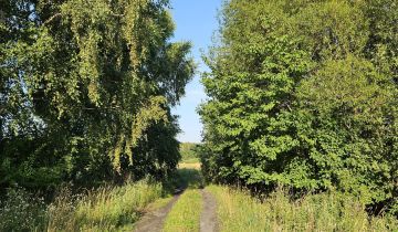 Działka rolna Koszalin Jamno, ul. Orlików