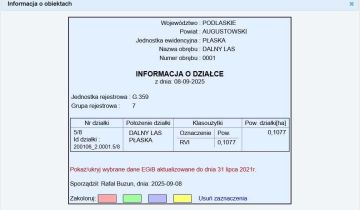 Działka budowlana Dalny Las