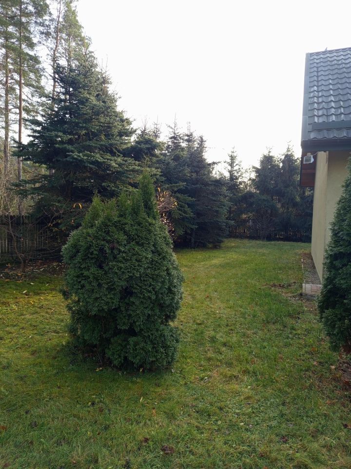 dom wolnostojący, 4 pokoje Płozy. Zdjęcie 5