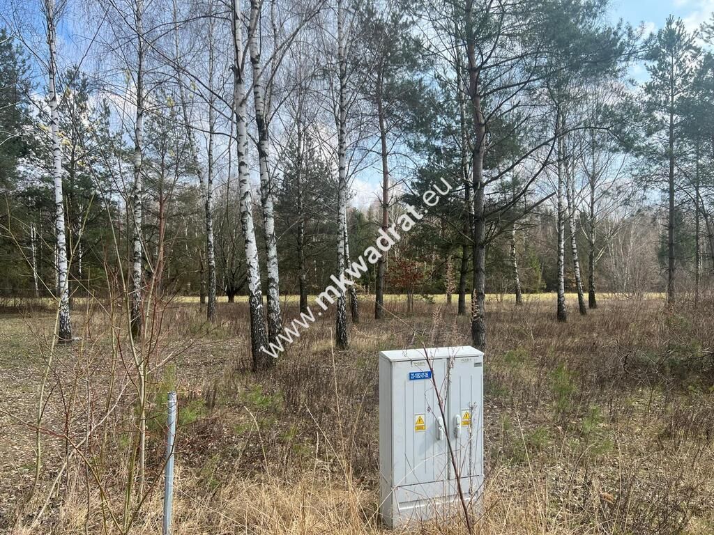 Działka Tłumy. Zdjęcie 1