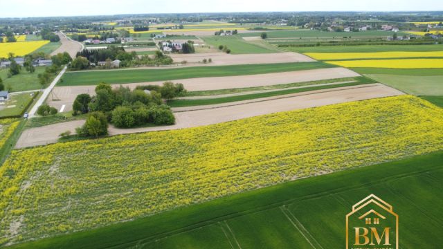 Działka siedliskowa Płouszowice-Kolonia. Zdjęcie 8