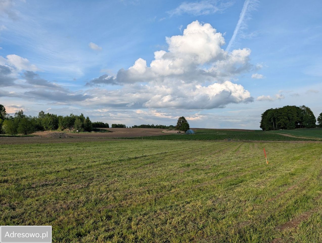 Działka budowlana Żeliszów. Zdjęcie 3