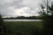 Działka siedliskowa Nowa Przerośl. Zdjęcie 3